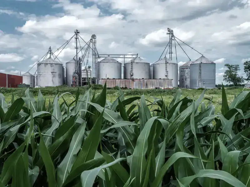 Agropecuária